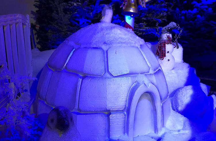 magie-de-noel-12
